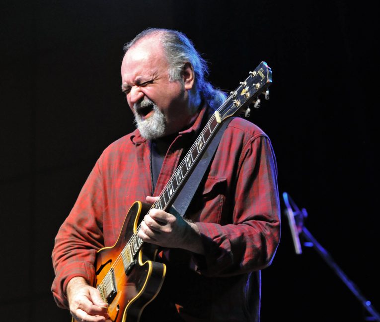 Interview, Tinsley Ellis, Rock and Blues Muse
