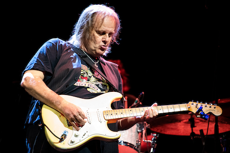 Interview with Blues Rocker Walter Trout