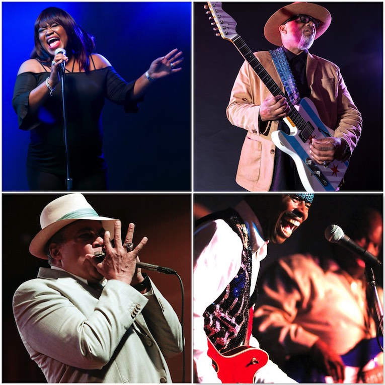 Alligator Records Artists To Perform At 2022 Chicago Blues Festival, photo