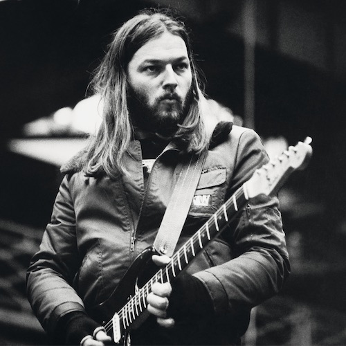 David Gilmour, photo