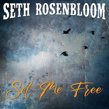 Seth Rosenbloom, Set Me Free, single image