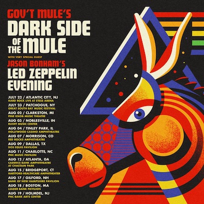 Gov't Mule Dark Side Of The Mule Summer Tour, tour flyer